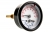 Combination Pressure-Temperature Gauge
